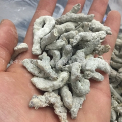 动物类中药材 正品 白僵蚕 僵蚕  160元 无熏硫