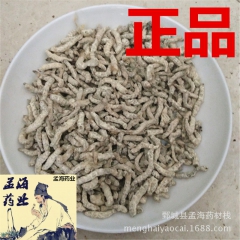 【批发供应各类中药材】僵蚕 白僵蚕 新货 大货 可售
