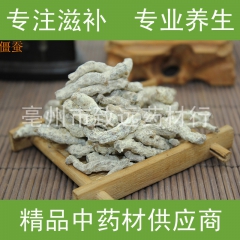 精选僵蚕 广西僵虫 白僵蚕 采购一级高规格药材选致远药材行