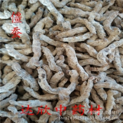 供应  优质中药材僵虫      正品白僵蚕