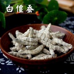 茂盈康中药材批发 僵蚕 白僵蚕 僵虫 江虫 有炒僵蚕 加工超...