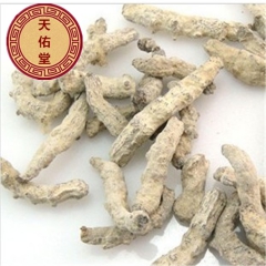 批发中药材 正品僵蚕 白僵蚕 动物原药材