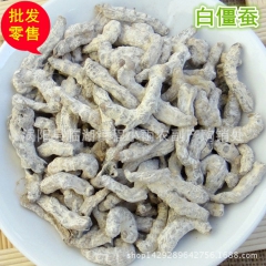 中药批发 僵蚕 僵虫 白僵蚕 量大从优