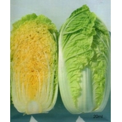 娃娃菜