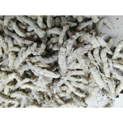 灵芝之家 云南野生白僵蚕 产地批发 一手货源 药食同源 中药...