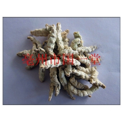国一堂供应中药动物原药材 优质散装僵蚕 白僵蚕 炒僵蚕量大从...