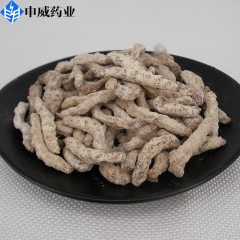 批发中药材 僵蚕 白僵蚕 僵虫 一公斤起批 大货供应