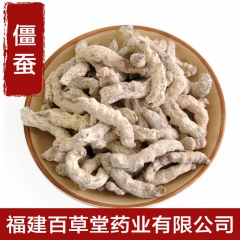 批发供应优质中药材僵蚕 白僵蚕 天虫 姜蚕品质保证