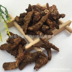 中药材炒僵蚕 批发白僵蚕 炒僵蚕 量大从优