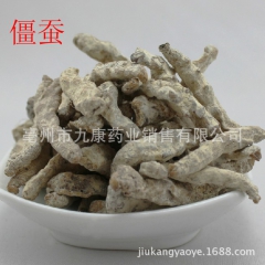 中药材批发 白僵蚕 天虫 僵虫 僵蚕粉 各种规格 供应药店
