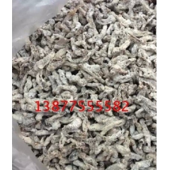 中药材 僵蚕 白僵蚕 姜虫 天虫 原药材 蚕