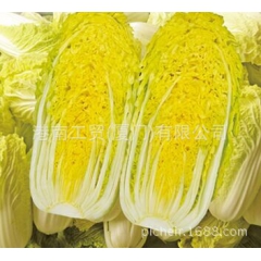娃娃黄-迷你型黄芯娃娃菜 10g/袋