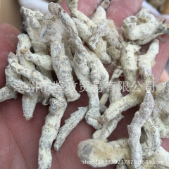 供应 中药材 白僵蚕 炒僵蚕 僵蚕粉 各种规格 中草药常年大...