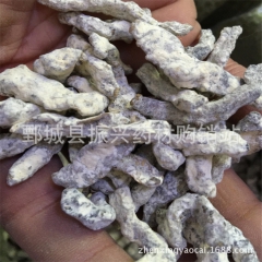 中药材批发 优质 僵蚕 白僵蚕 僵虫  大货供应中药材僵蚕
