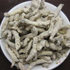 批发中药材僵蚕 供应白僵蚕 优质四川僵蚕