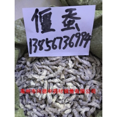 批发正品中药材 僵蚕 白僵蚕 优质无硫 药店供货 按方抓药