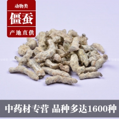 原产地直供 中药材批发 优质僵蚕  白僵蚕