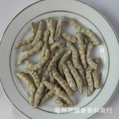纯正品中药材僵蚕 白僵蚕 化痰散结 中药材批发零售 量大从优