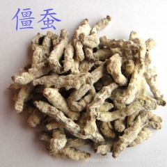 供应中药材 昆虫类药材僵蚕 白僵蚕