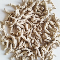 白僵蚕 祛风解痉化痰散结清热解毒中药材 正品中药厂家供应批发