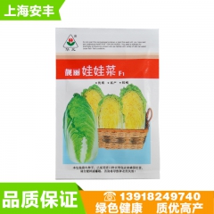 娃娃菜 精选无公害高山小白菜娃娃菜 盆栽大棚田地蔬菜10克