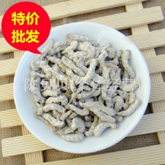 中药材批发 僵蚕 天虫、姜蚕、白僵蚕 高品质