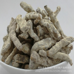 批发中药材供应  天虫 白僵蚕 炒僵蚕 僵蚕 支持验货 保证...