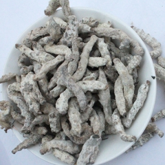 批发中药材 白僵蚕 僵蚕 祛风解痉 化痰散结 清热解毒 做面...