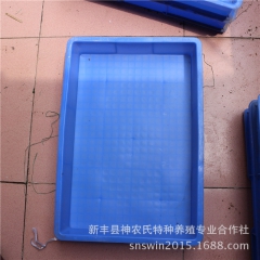 大麦虫 塑料盒 塑料养殖箱 广州厂家批发【规格620*420...