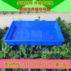 热销560*380*80mm 黄粉虫养殖专用盆 塑料养殖胶盆...