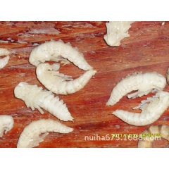 农场 绿色循环产业经济 新食材 大麦虫 虫子鸡 有机肥料 瓜...
