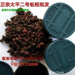 厂家直销太平二号红蚯蚓 鱼饵蚯蚓 万能饵蚯蚓 生态蚯蚓 长期...