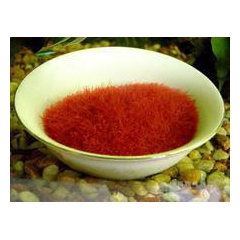 红虫；红赤虫；冰冻蚯蚓；冰冻水蚯蚓