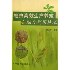 东亚飞蝗  蝗虫养殖