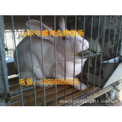中华老字号 东阿阿胶桃花姬阿胶糕300g