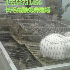 中华老字号 东阿阿胶桃花姬阿胶糕300g