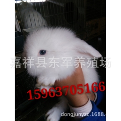 中华老字号 东阿阿胶桃花姬阿胶糕300g