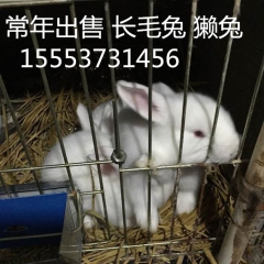 中华老字号 东阿阿胶桃花姬阿胶糕300g