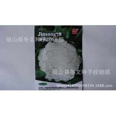 中华老字号 东阿阿胶桃花姬阿胶糕300g