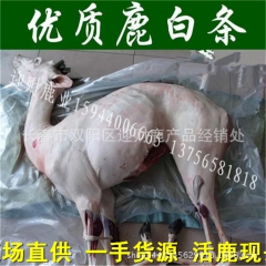 梅花鹿 大量批发优质活体宰杀鹿肉 鹿白条 新鲜白条 规格可定...