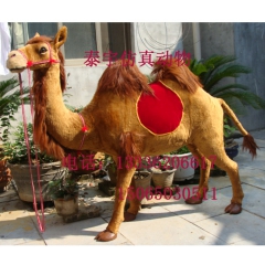 【双11特卖】仿真动物 仿真骆驼  游乐园装饰互动