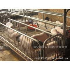 山东农家散养香猪 自养母猪繁殖 大巴发货 2只包邮【死亡包赔...