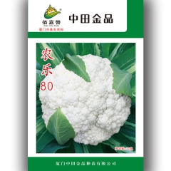 中华老字号 东阿阿胶桃花姬阿胶糕300g