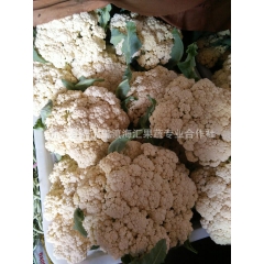 中华老字号 东阿阿胶桃花姬阿胶糕300g