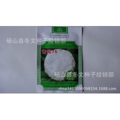 中华老字号 东阿阿胶桃花姬阿胶糕300g