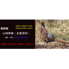 中华老字号 东阿阿胶桃花姬阿胶糕300g