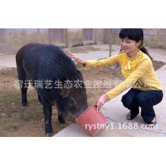 中华老字号 东阿阿胶桃花姬阿胶糕300g