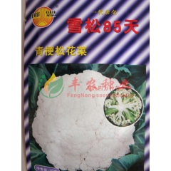 中华老字号 东阿阿胶桃花姬阿胶糕300g