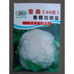 中华老字号 东阿阿胶桃花姬阿胶糕300g