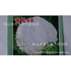 中华老字号 东阿阿胶桃花姬阿胶糕300g